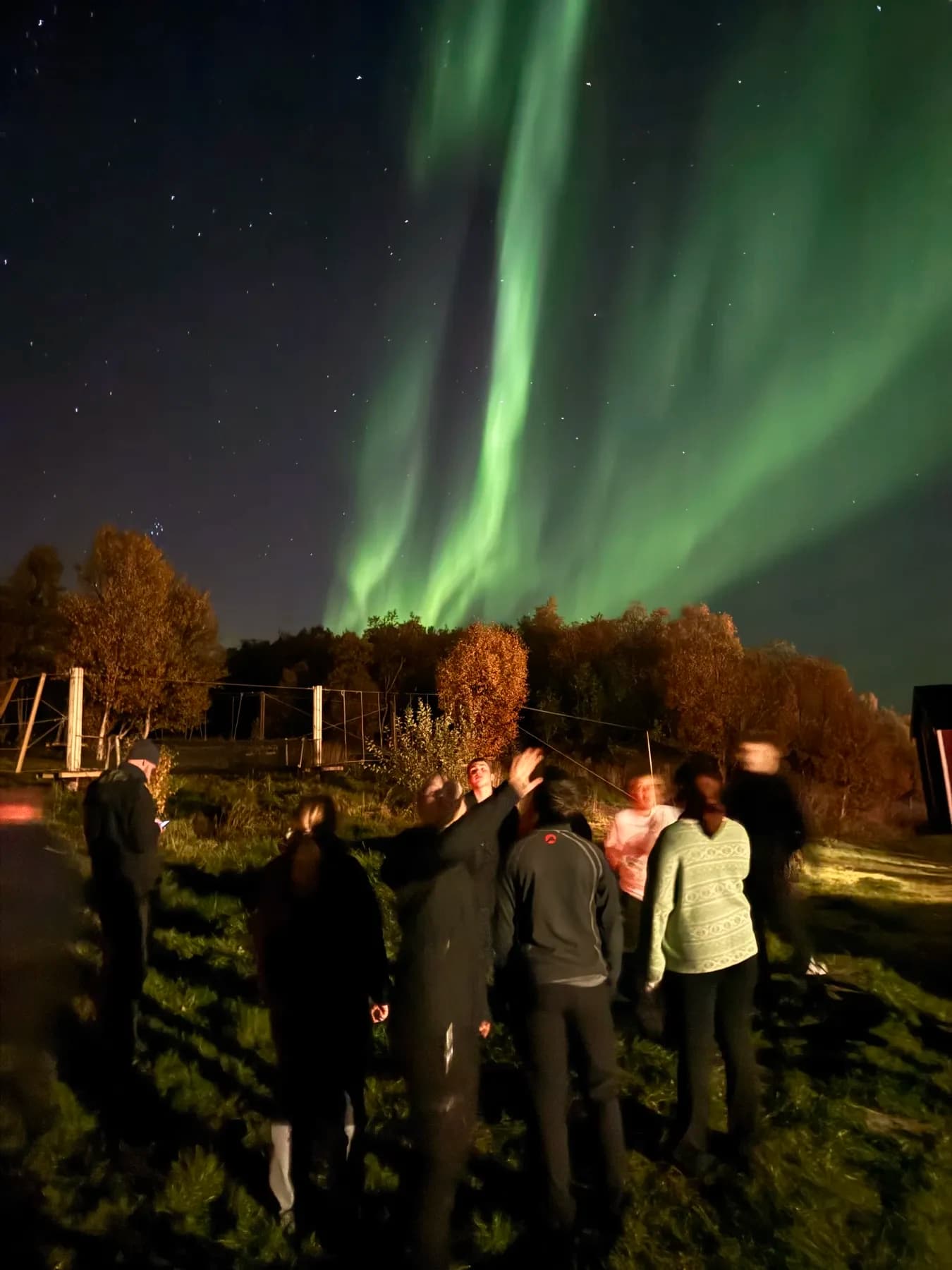 Gruppe med ryggen til ser opp på nordlyset