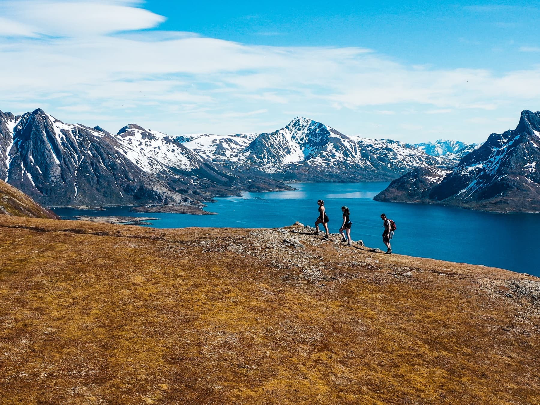 Skogsøya panorama